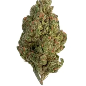 Full Gas THC Flower ORGANIC