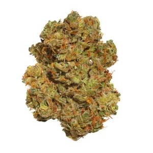 Amnesia THC Flower ORGANIC