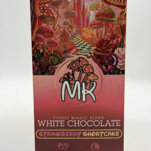 Magic Kingdom Chocolate Bars